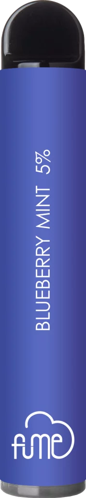 Blueberry Mint Vape Fume Costa Rica